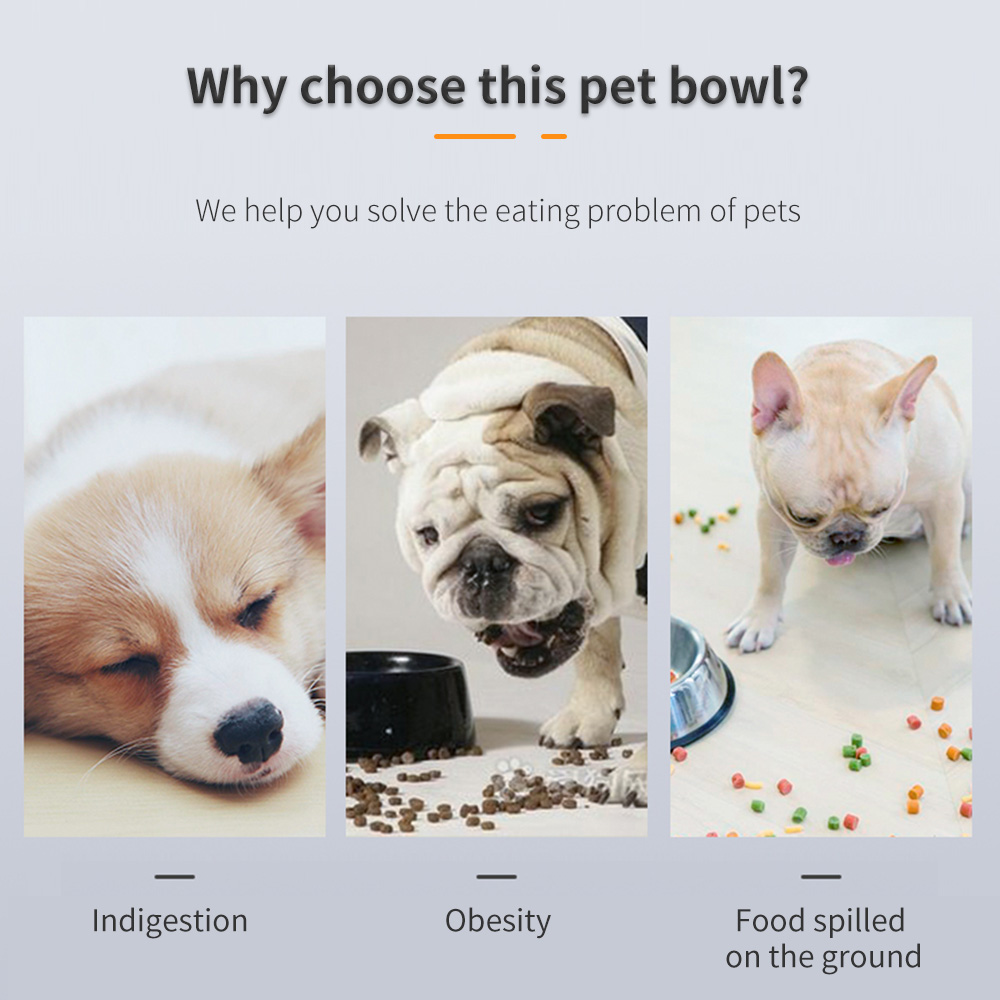 puppy choking on food