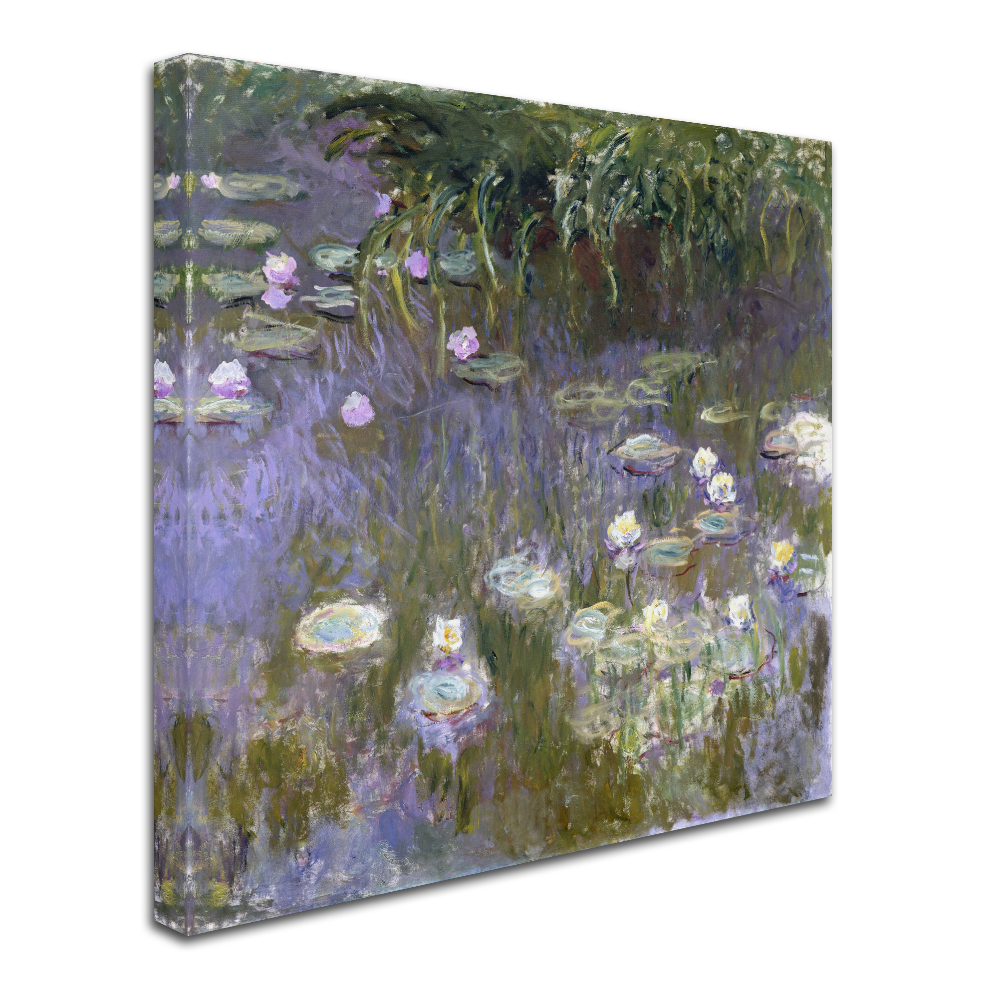 Monet 'Water Lilies' Canvas Art