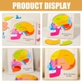 thumbnail image 2 of Learning Human Body Toy Montessori Puzzles Anatomy Kids Brain Structure Model Toys Toddler for Child Preschool, 2 of 6
