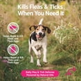 thumbnail image 3 of Zesty Paws Flea and Tick Spray for Dogs, 16 oz, 3 of 15