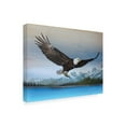 thumbnail image 4 of Canvas Wall Art - Jim Brune 'Bald Eagle Mountain' Wall Art for Living Room, Bedroom, or Office Décor by Trademark Fine Art - 47 x 35 Inches, 4 of 4