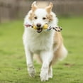 thumbnail image 2 of Vibrant Life Rubber Bone with Rope Dog Toy, 2 of 3
