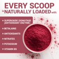 thumbnail image 3 of Dr. Berg Raw Organic Beet Root Juice Powder – USDA Certified Beet Powder from Real Beets, Non-GMO, 30 Servings, 3 of 10