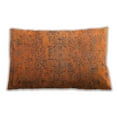 thumbnail image 1 of Ahgly Company Indoor Rectangular Traditional Lumbar Throw Pillow, 13 inch by 19 inch, 1 of 5