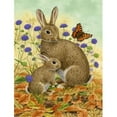 thumbnail image 1 of Carolines Treasures ASA2132CHF Rabbit & Baby Flag Canvas House Size, 1 of 4