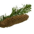 thumbnail image 3 of Northlight Dakota Red Pine Artificial Christmas Garland with Pine Cones - 9' x 10" - Unlit, 3 of 3
