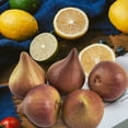 thumbnail image 2 of 6 Pack Realistic Artificial Fig Fake Fake Figs for Home Kitchen Wardrobe Photography Table Decoration, 2 of 5