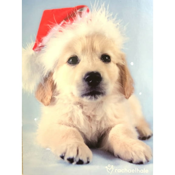 Paper Magic 18 White Lab Puppy Dog Santa Claus Holiday Christmas Cards