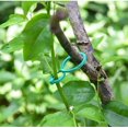 thumbnail image 4 of 20 Pcs Clips de Jardin en Forme de Gourde en Plastique Réutilisables Réglables Support de Plantes Treillis Clips Outil, 4 of 5