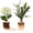 Coffee Color-2p, variant on Empty Reed Diffuser Bottle, Glass Diffuser Bottle with Sticks Fake Greennery Plants, Fragrance Aromatherapy Essential Oil DIY Jar for Home Shelf Bedroom Bathroom Office Decor