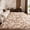 Camel, variant on Lanbertent 5ft x 8ft Shag Area Rug, Soft Fluffy Area Rugs for Living Room Bedroom Plush Pile Modern Tie-dye Carpets, Dark Gray
