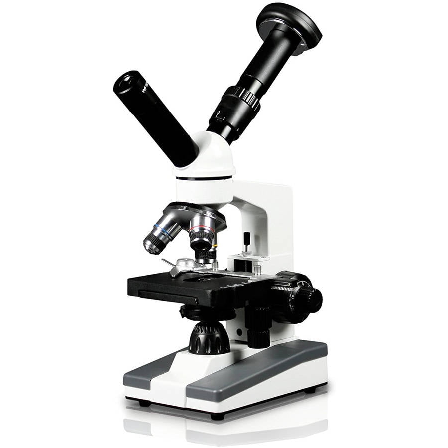 Dual View Elementary Level Compound Microscope, 10x WF and 25x WF