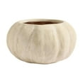 thumbnail image 1 of (2 Pack) Outdoor Pumpkin Design Flower Pots Durable Resin Garden Planter For Patio Decoration And Displaying, 1 of 7