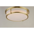 thumbnail image 3 of Maxim Rogue 17" Wide Modern White and Satin Brass LED Ceiling Light, 3 of 8