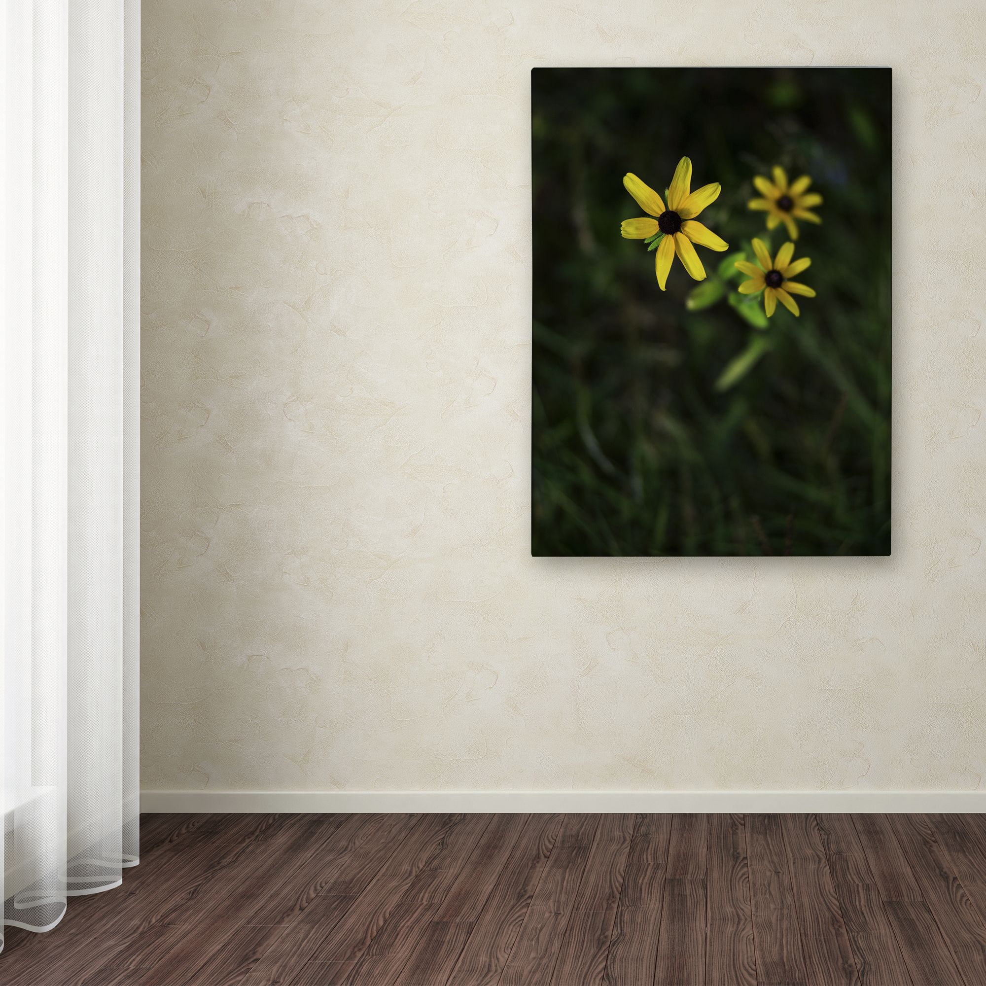 Trademark Fine Art "Brown-Eyed Susan" Canvas Art by Kurt Shaffer