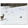 thumbnail image 1 of Deer Ceramic Tile Mural Kitchen Backsplash Bathroom Shower, 402781-XL54, 1 of 3