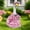 D, variant on Floral Porch Goose Outfit with Bonnet, Fits 23-28" Concrete Lawn Goose Statue