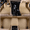 Beige, variant on For KIA k2 k3 k4 k5 k9 Carpets All Weather Car Floor Mats Auto Luxury Custom