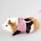 thumbnail image 1 of HEEPDD Arnés y Correa de Animales pequeños, arnés para Mascotas Arneses al Aire Libre Arnés Ropa para cobayas Ardillas Erizos Chinchillas y más (Rojo l), 1 of 3