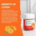 thumbnail image 3 of Nature's Key Lutein Gummies 12mg with Zeaxanthin & Vitamin A for Kids and Adults | Eye Health and Brain Function Supplement | Orange Flavor, 60Ct, 3 of 9