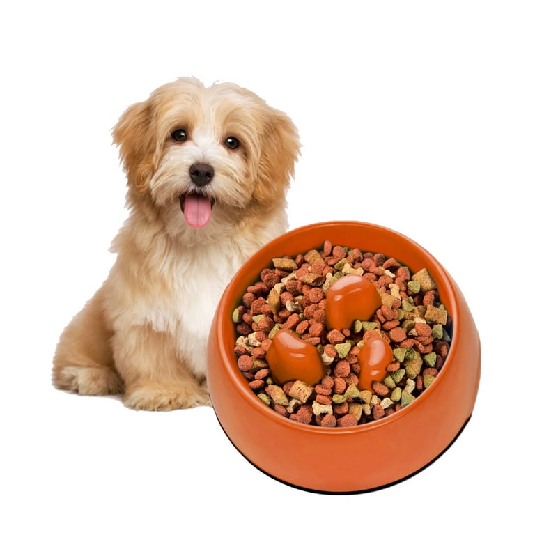 Slow Feeder Dog Bowl, Anti-Gulping Dog Puzzle Bowl, Anti-Choke Non Slip Fun Feeder  Bowl Interactive Bloat Stop Healthy Eating Slow Eat Pet Bowl for Fast  Eaters - 300ML (10oz) Orange 