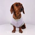 thumbnail image 6 of HQREA Dachshund Dog Clothes Anti-UV Cooling Vest Tank Top with Pocket Stretchy Sleeveless Summer T-Shirt for Mini Dachshund, 6 of 6