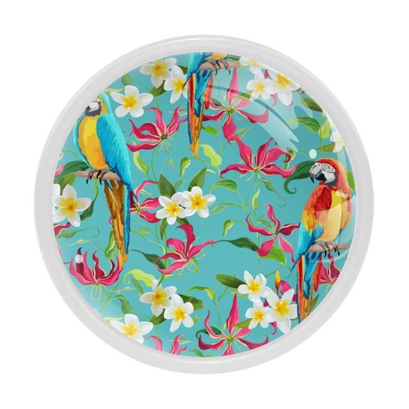 4 Pcs Parrot Knobs for Kitchen Cabinet Cupboard Dresser Bookcase Drawer Pulls Handles Round Home Decor