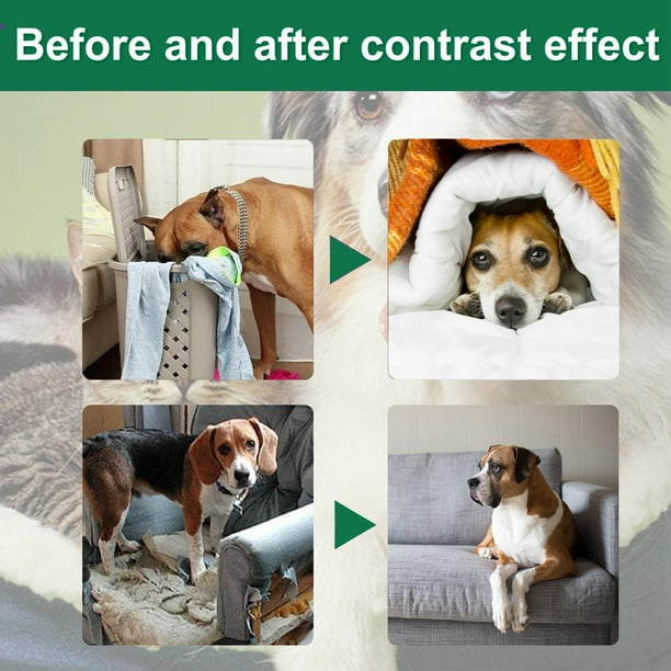 Dog biting furniture spray hotsell