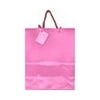 Pink Gift/Tote Bag - 13" x 10.5" x 5.5"