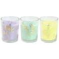 thumbnail image 3 of Botanical Light 3 Pk Votive Candle Set, 3 of 3
