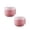 Pink*2, variant on GUIGUI 1 Pack Food Thermo, Leakproof Thermal Food Jar, Vacuum Stainless Lunch Thermo Container for Office Picnic Travel Outdoors (Blue)