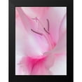thumbnail image 2 of Mahan, Kathy 19x24 Black Modern Framed Museum Art Print Titled - Gladiola Blossom II, 2 of 5