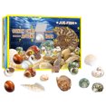 thumbnail image 1 of Calendario De Adviento Con Cuenta Atrás Para Navidad, 24 Uds., Juguetes De Concha, 2021, Juego De Juguetes Con Calendario, Caja Ciega, Regalo De Navidad, Regalo De Año Nuevo Yuarrent HA038593-00, 1 of 6