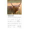 thumbnail image 4 of Highland Cows | 2026 7x14" (Hanging) Monthly Mini Wall Calendar | BrownTrout, 4 of 9