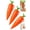 3pcs, variant on Carrot Recorder Pen Recording Pen Voice Recorder pens Audio Playback Device Cute Carrot Shaped Writing Tool Toy 20s Playback Feature for Students Teachers School Learning Gift(1PC)