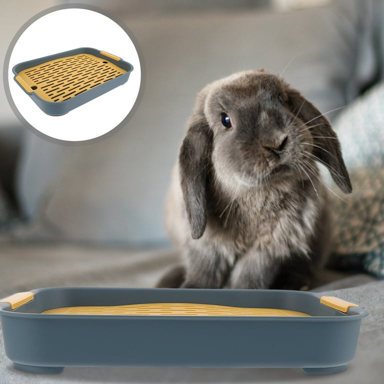 Pet toilet cleaning supplies Pet toilet cleaning supplies