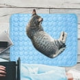 thumbnail image 5 of Summercome Cooling Mat for Pets, Ice Silk Mat Cooling Blanket Cushion for Dogs Cats, Summer Cool Down Comfortable Pet Pad, Ideal for Kennel Sofa Bed Floor Car Seats, 11.8 × 15.7inch (Blue), 5 of 9