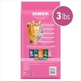 thumbnail image 5 of Iams Proactive Health Turkey Dry Cat Food, 3 Lb Bag, 5 of 17