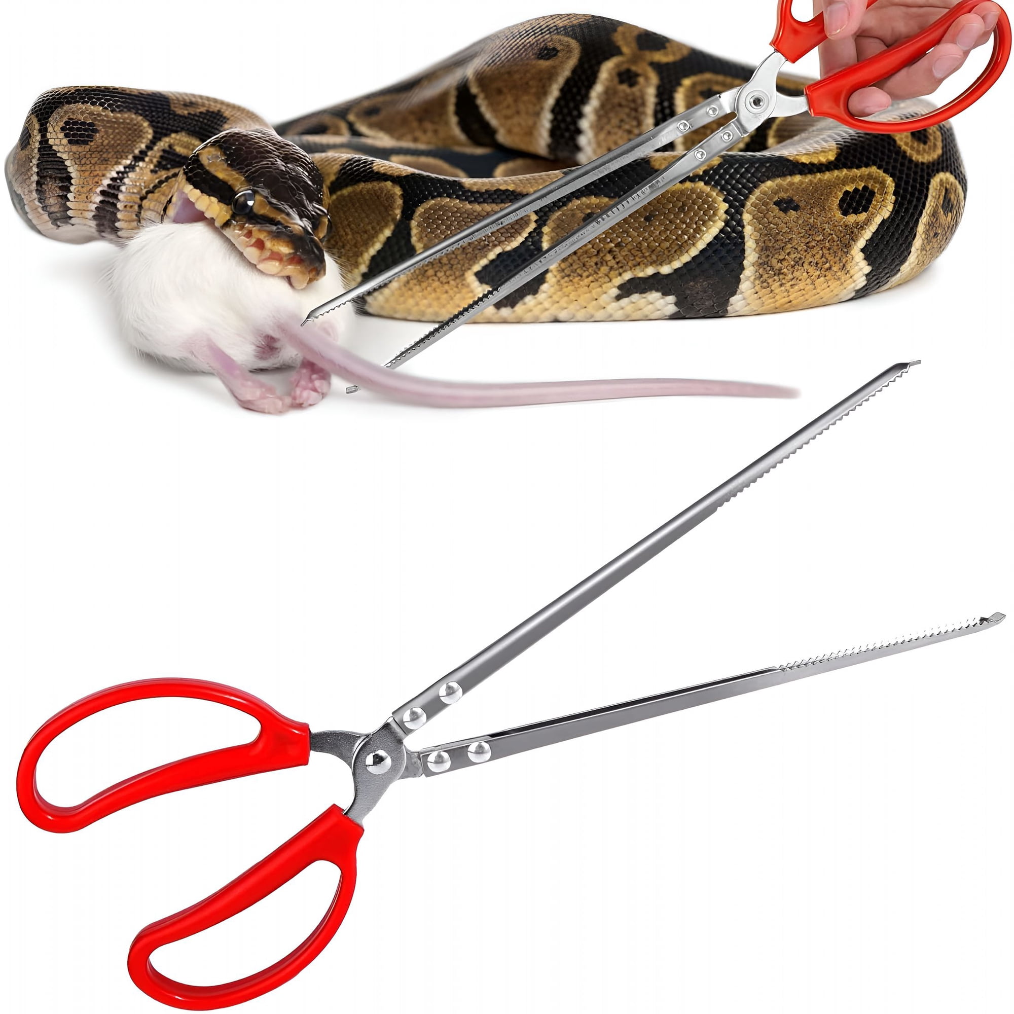 EXLEAF Snake Feeding Tongs,Reptile Feeding Tongs,Extra Long Large Tweezers for Corn Ball Python Accessories,Bearded Dragon Tank Accessories,Pet Terrarium Supplies for Leopard Crested Gecko