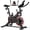 Black, variant on Patbrela Exercise Bike Home Workout Equipment Stationary Bike, 100% Adjustable Resistance, Indoor Cycling Bike for Women Home Gym, Black