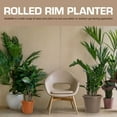 thumbnail image 2 of Rugg 7772486 Polyresin Planter - Cappuccino, 2 of 6