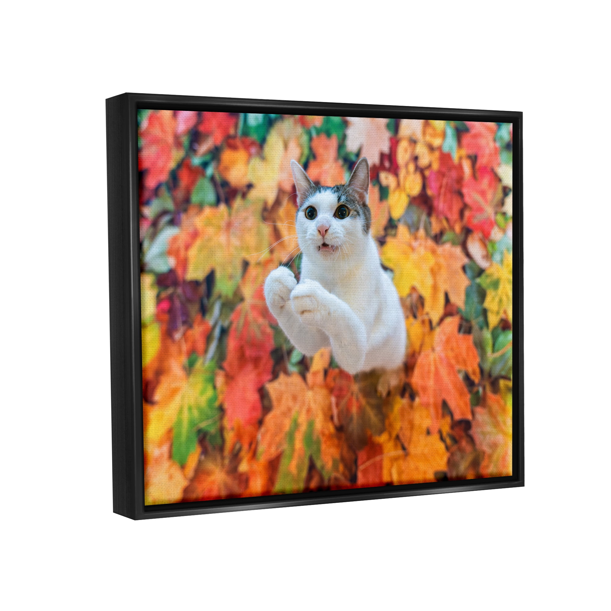 Stupell Industries Cat in Autumn Leaf Pile Animals & Insects Photography Black Floater Framed Canvas Art Print Wall Art, 21 x 17