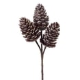 thumbnail image 2 of Pine Cone Pick 12"H (Set of 24) Plastic, 2 of 2