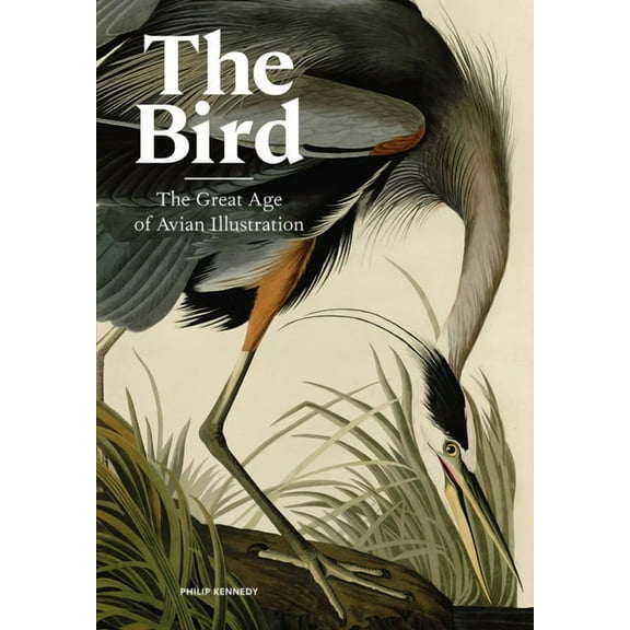 The Bird, (Hardcover)