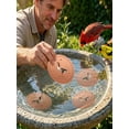 thumbnail image 3 of Bird Bath Copper Disc,0.6mm Reinforced 99.99% Pure Copper Cleaning Disk for Physical Safe Clean Water for Outdoor Birdbaths, 3 of 4