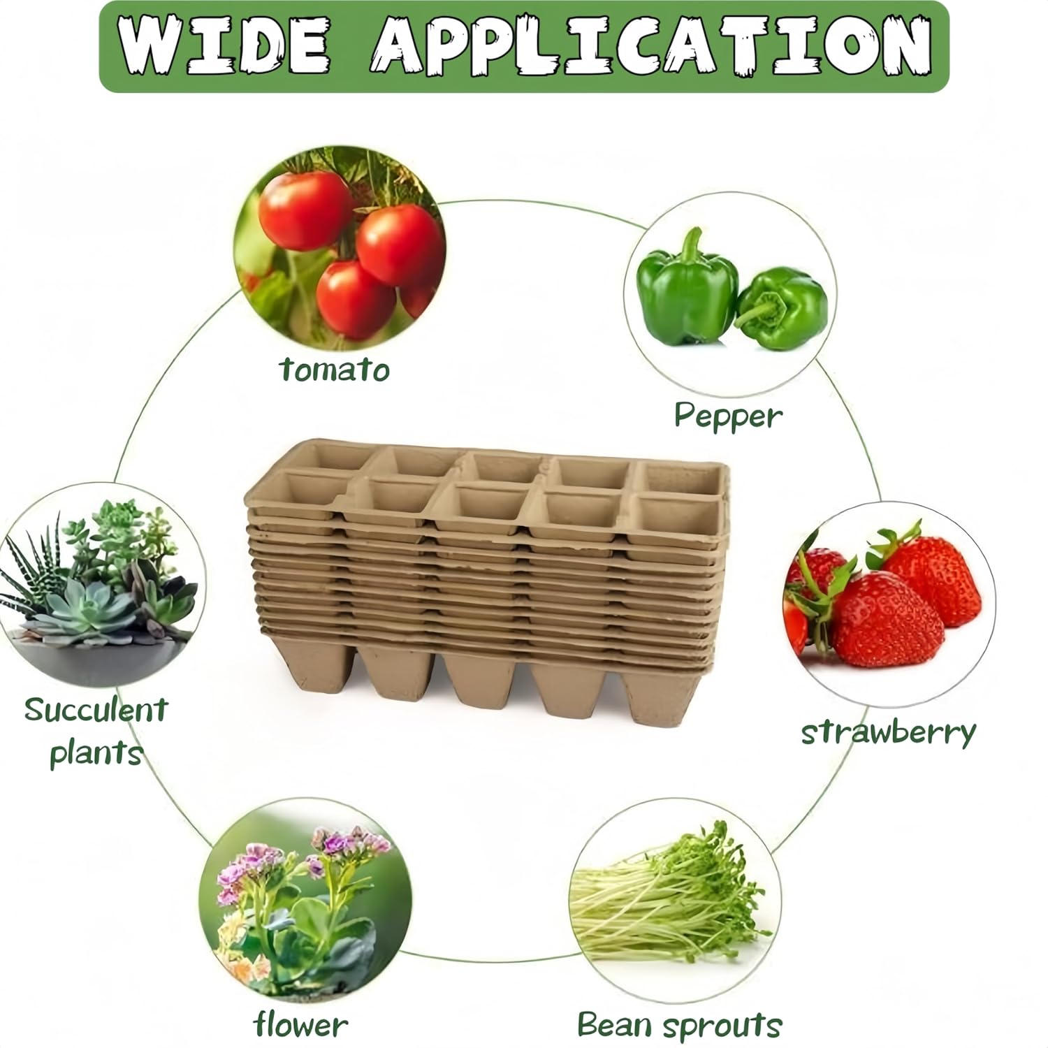 240 Cells Seed Starter Tray 24 Packs Biodegradable Peat Pots Germination Trays Organic Starting kit with Labels 2 Transplant Tools