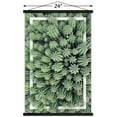 thumbnail image 4 of Cactus - Group Wall Poster with Wooden Magnetic Frame, 22.375" x 34", 4 of 4