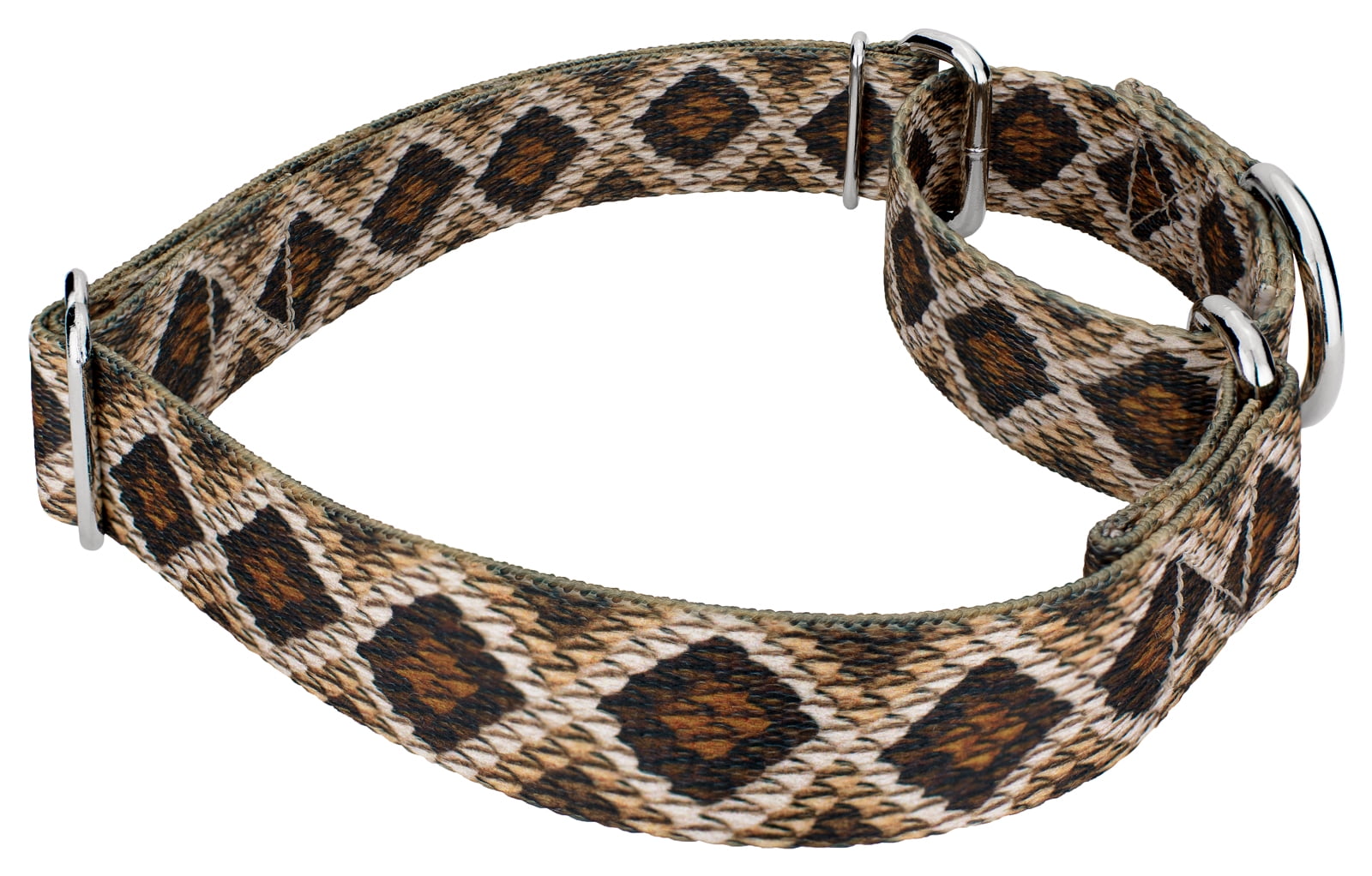 Country Brook Petz® Rattlesnake Martingale Dog Collar and Leash, Medium