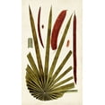 thumbnail image 2 of Vision Studio 16x24 White Modern Wood Framed Museum Art Print Titled - Leaf Varieties VI, 2 of 4