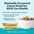 thumbnail image 3 of Solid Gold Real Beef & Pumpkin Freeze-Dried Raw Meal Dog Food Topper, 12.5-oz bag, 3 of 8